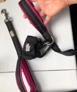 Black Rhino Dog Leash - Heavy Duty - Medium & Large Dogs | 6ft Long Leashes | Two Traffic Padded Comfort Handles for Safety Control Training - Double Handle Reflective Lead - (Aqua) Aqua 46 71UBQsCAULL