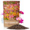 Cosmos Seeds Wildflower Mixture - Bulk Quarter Pound Bag - Over 20,000 Seeds - Pink, Yellow, Orange, Red, Purple and White Mixed Species! 1/4 Pound Bag 37 71UBpwALNCL