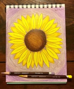 Derwent Colored Pencils, ColourSoft Pencils, Drawing, Art, Metal Tin, 72 Count (0701029) 72 Count (Pack of 1) 39 71UF2gu3xkL