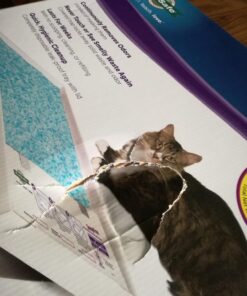 PetSafe ScoopFree Crystal Litter Tray Refills, Premium Blue Crystals, 3-Pack, Disposable Tray, Includes Leak Protection & Low Tracking Litter, Absorbs Odors On Contact 3 Trays 43 71UI9XQcpaL 1