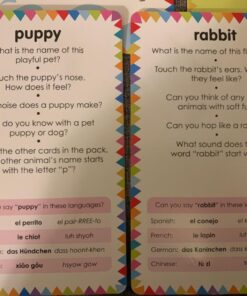 My First Touch and Feel Picture Cards: Animals (My First Board Books) 40 71UIjnxekhL