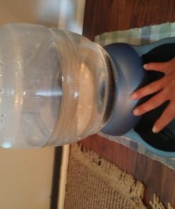 Petmate Replendish Gravity Waterer With Microban for Cats and Dogs, 2.5 Gallons,Blue, Made in USA Blue 2.5 GAL 52 71UNH52n3LL