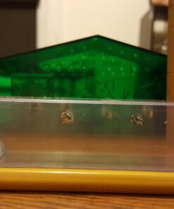 Smart Mouse Trap - Humane Mousetrap 27 71URqD0M57L