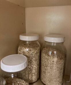 Cornucopia Wide Mouth Plastic Mason Jar Lids (24-Pack Bundle); 2 Dozen Unlined White Ribbed Lids, 86-450 Size 24 Lid Basic Set w/ Lids Only 36 71USqhB1LCL