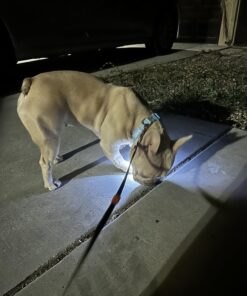 Small Dog Light - Dog Collar Light - Bubbas Leash Light - 2 Per Pack - Dog Walks & Backyard Monitoring. Attaches to Leash, Dog Collar, Harness. Small & Large Dogs. (Stealth Black) Bubba's Leash Light 35 71UVKnvjq2L
