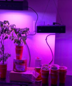 General Hydroponics MaxiGro Plant Food For Vigorous Growth, 2.2 lb 67 71UXHRqedJL