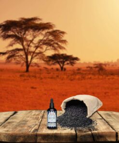 Alternative view of Shea Terra Egyptian Black Seed Cold-Pressed Extra Virgin Oil | All Natural & Organic Oil to Boost Immune System, Improve Hair Growth & Skin Tone, Manage Chronic Dry Skin, Eczema & More - 3.38 oz 3.38 Fl Oz (Pack of 1)