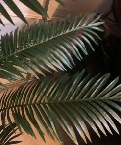 Nearly Natural 5261 7ft. Paradise Palm,Green 30 71Ug vxyL