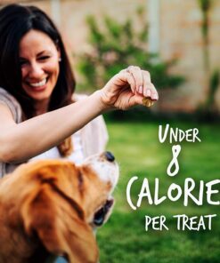 Fruitables Dog Treats Pumpkin & Apple Flavor, 7 oz 7 Ounce (Pack of 1) Pumpkin and Apple 15 71UnBmb99uL