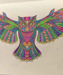 Adult Coloring Book: Stress Relieving Animal Designs 68 71Uo2khrE4L