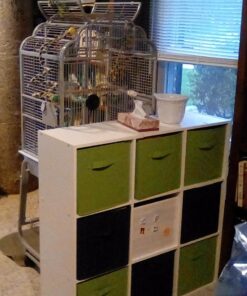 Sorbus Foldable Storage Cubes - 6 Fabric Baskets for Organizing Pantry, Closet, Shelf, Nursery, Playroom, Toy Box, Cubby - 11 Inch Dual Handle Collapsible Closet Organizers and Storage Bins (Green) Green 32 71UoXfBtcjL