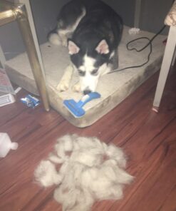 PetZoom Self Cleaning Grooming Brush with Bonus Pet Trimmer 22 71UsqWE373L