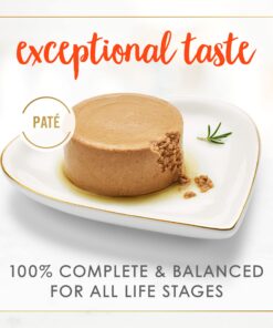 Purina Fancy Feast Salmon Feast Classic Grain Free Wet Cat Food Pate - (24) 3 oz. Cans 3 Ounce (Pack of 24) 21 71Ut0NXQfxL