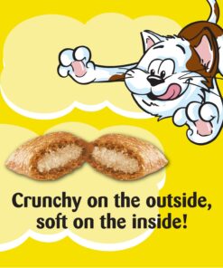 TEMPTATIONS Classic Crunchy and Soft Cat Treats Tasty Chicken Flavor, 16 oz. Tub 25 71UtHlYDqKL