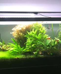 Seachem Flourish Potassium 500ml One size 33 71UvYwYMLGL