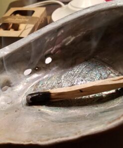 Luna Sundara Organic Wild Harvested Palo Santo Smudging Sticks from Ecuador Select High Resin Natural Incense Sticks Sustainable Packaging 8 Aromatic Sticks for Peace and Tranquility Bursera Graveolens Wood 35 71UyGHpNJZL