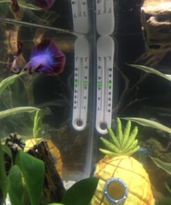 Alternative view of Weco Wonder Shell Natural Minerals (3 Pack), Small