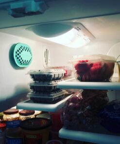 remodeez Refrigerator Deodorizer Eliminator, Nontoxic Coconut, Activated Charcoal, Natural Air Fresheners, Moisture & Odor Absorber for Fridge (Green) 26 71V1GwFQDSL