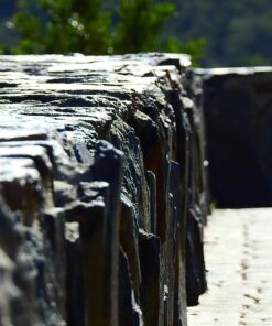 Nikon COOLPIX P900 Digital Camera (Black) 119 71V4HVDoENL