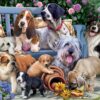Vermont Christmas Company Dogs on a Bench Jigsaw Puzzle 1000 Piece 30 71V9DQ3 REL