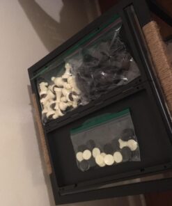 Yellow Mountain Imports Medium 2-in-1 Travel Magnetic Chess & Checkers Board Game Set - 12.5 Inches - Portable, Folding & Travel Perfect 48 71V9hnw8KZL