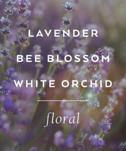 LOLLIA Handcreme, 4 oz – Scented Hand Cream for Women, Moisturizing Hand Lotion for Dry Hands, Shea Butter & Cocoa Butter, Quick Absorbing Lotion Relax 12 71VAUgdpEXL