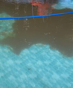 Alternative view of SWIMLINE HYDROTOOLS Manual Pool Vacuum Head Attachment For Inground & Above Ground Pools |Weighted Swimming Pool Vac Head Half Moon W/ Bristles| Swivel Hose 1-1/4 or 1-1/2’’| Clean Debris Corners