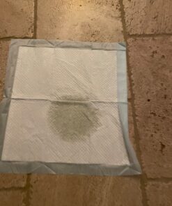 Amazon Basics Dog and Puppy Pee Pads with Leak-Proof Quick-Dry Design for Potty Training, Standard Absorbency, Regular Size, 22 x 22 Inches, Pack of 100, Blue & White Unscented Regular (100 Count) 37 71VEtCl3NEL 3