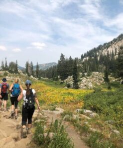 Venture Pal 35L Ultralight Lightweight Packable Foldable Travel Camping Hiking Outdoor Sports Backpack Daypack A1.black 45 71VJ5kFOWQL