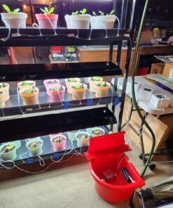 Little Giant® Automatic Animal Waterer | 4 Gallon | Float Controlled Automatic Waterer for Livestock | Heavy Duty and Durable | Made in USA | Red 19 71VJNboj0fL