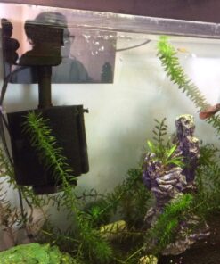 uxcell XINYOU XY-380 Aquarium Fish Tank Biochemical Sponge Filter, 4-1/2-Inch (1-Pack) 1-pack 34 71VK2tOc2sL