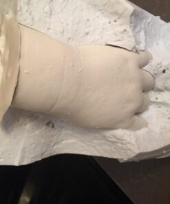 Alginate Molding Powder for Hand Casting Kit & Multi-Use Projects - 3 lb Casting Plaster Material - Family Keepsakes- Create-a-Mold by Luna Bean Alginate 29 71VKbA6F9PL