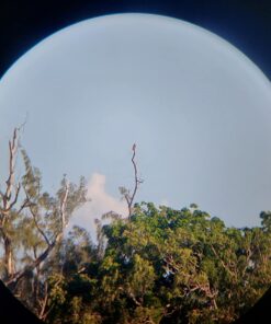 Bushnell H2O Waterproof/Fogproof Compact Roof Prism Binocular Black, 8x25mm 30 71VN1Cc3CxL