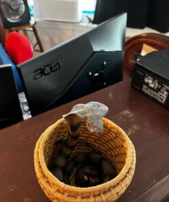 Safari Ltd. Cobra Figurine - Detailed 36" Flexible, Plastic Model Figure - Fun Educational Play Toy for Boys, Girls & Kids Ages 18 Months+ 33 71VPIhL4w7L