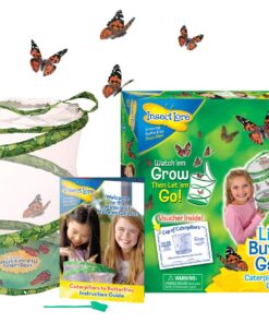 Painted Lady Butterfly Kit - Habitat, STEM Journal, & Voucher for Chrysalis Log & Caterpillars - Grow Your Own Butterfly Kit 26 71VQSsdd0XL