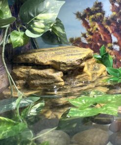 Tetra Decorative ReptoFilter, Terrarium Filtration, Keeps Water Clear 55 71VWPQL3JUL