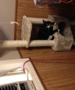 Majestic Pet Products 52 Inch Cat Tree Furniture Tower Condo House with Scratching Post, Multi-Level Activity Pet Tree (Beige Casita) Beige Casita 13 71VY5gUG2aL