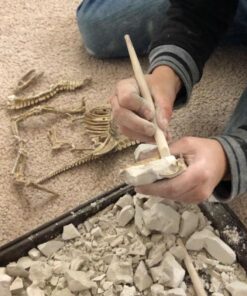 Large Dinosaur Excavation Kit 28 71VYqONSoZL