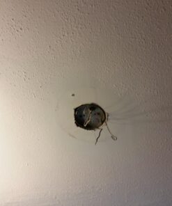 Broan-NuTone 157 Low-Profile Fan-Forced Ceiling Heater, Enclosed Sheath Element for Bathroom, Kitchen, and Home, Standard, Satin Aluminum 31 71VaVbVB TL