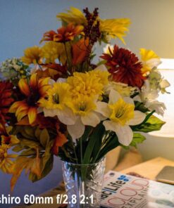 Oshiro 60mm f/2.8 2:1 LD UNC Manual Ultra-Macro Lens Compatible with Sony E-Mount a9, a7r, a7s, a7, a6600, a6500, a6400, a6300, a6000, a5100, a5000, a3500, a3000 Mirrorless Cameras (EOS-E) 68 71VbdqpsVL