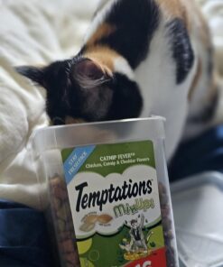 TEMPTATIONS MIXUPS Crunchy and Soft Cat Treats Catnip Fever Flavor, 16 oz. Tub 16 Ounce (Pack of 1) 44 71VbgLJZuqL