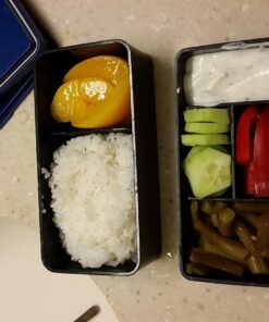 Japanese Traditional Rabbit Blossom Bento Box Set - Square 2 Tier Bento Box, Rice Ball Press, Bento Bag (Blue) 68 71Vbj3POhLL