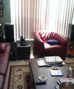 Polk Audio PSW10 10" Powered Subwoofer – Power Port Technology, Up to 100 Watts, Big Bass in Compact Design, Easy Setup with Home Theater Systems, Timbre-Matched with Monitor & T-series Polk Speakers single subwoofer 42 71VfCKavTqL