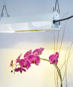 Sun System Grow Lights - Blazer - Double End | Metal Halide / HPS | Reflector - For Hydroponic and Greenhouse Plant Use 12 71ViZflkUSL