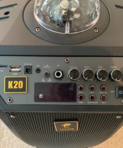 Wireless Karaoke Machine for Adults, TONOR PA System Portable Bluetooth Singing Speaker with Dual Wireless Microphones Microfono, Disco Ball for Home Karaoke, Party, Class and Church K20 Black 50 71VpGiT1RBL