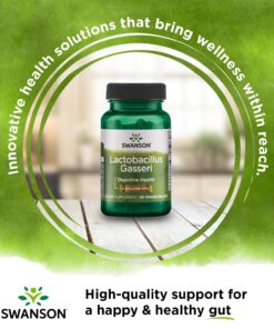 Swanson Lactobacillus Gasseri - Probiotic Supplement Supporting Digestive Health with 3 Billion CFU - Design-Release Satiety & Fat Metabolism Support - (60 Veggie Capsules) 1 15 71VrDhx 9RL