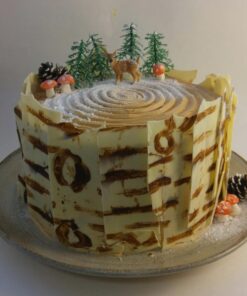 6 Layer Evergreen Pine Tree Picks - 24 ct 19 71VrvXfaqiL 1