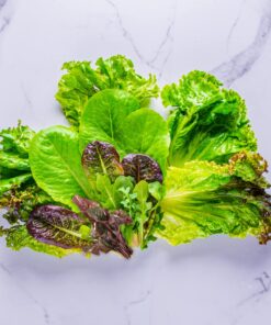 Aerogarden Salad Greens Seed Pod Kit with Red, Green, Romaine and Butter Leaf Lettuce, Liquid Plant Food and Growing Guide (9-Pod) 9-pod 20 71VtLvSVYL