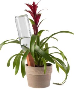 Modern Innovations Ceramic Terracotta Self Watering Spikes (4 Pack) Vacation Automatic Plant Waterer Devices, Indoor/Outdoor Planter Insert, Terra-Cotta Stakes for Potted Plants, Auto-Water System 4 Pack 28 71VuOIr985L