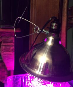 Outtled Diateklity 12W Hydroponic LED Plant Grow Light with E27 Socket 23 71VwEUNsVL